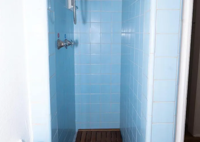 Bloom And Relax Historic 1br In Downtown Apartment