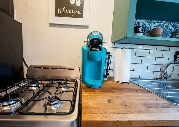 Bloom And Relax Historic 1br In Downtown Apartment